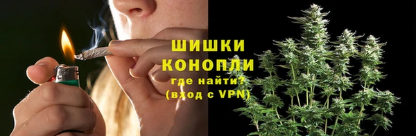 гашик Дмитриев