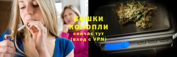 гашик Дмитриев