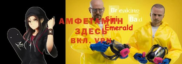 гашик Дмитриев
