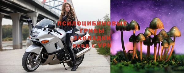 гашик Дмитриев