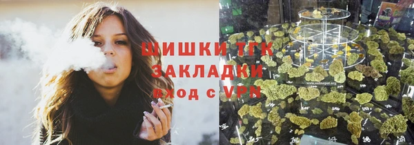 гашик Дмитриев