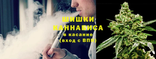 гашик Дмитриев